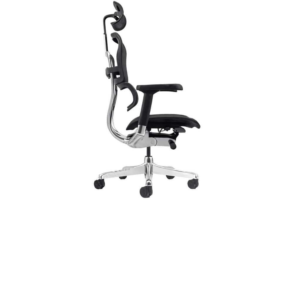 ERGOHUMAN — foto 3