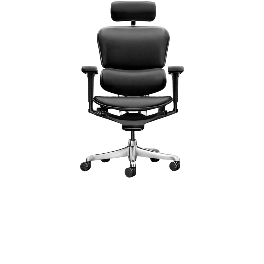 ERGOHUMAN