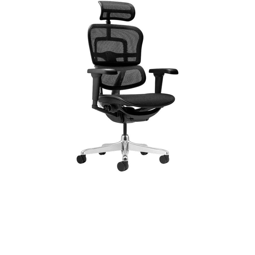 ERGOHUMAN — foto 2