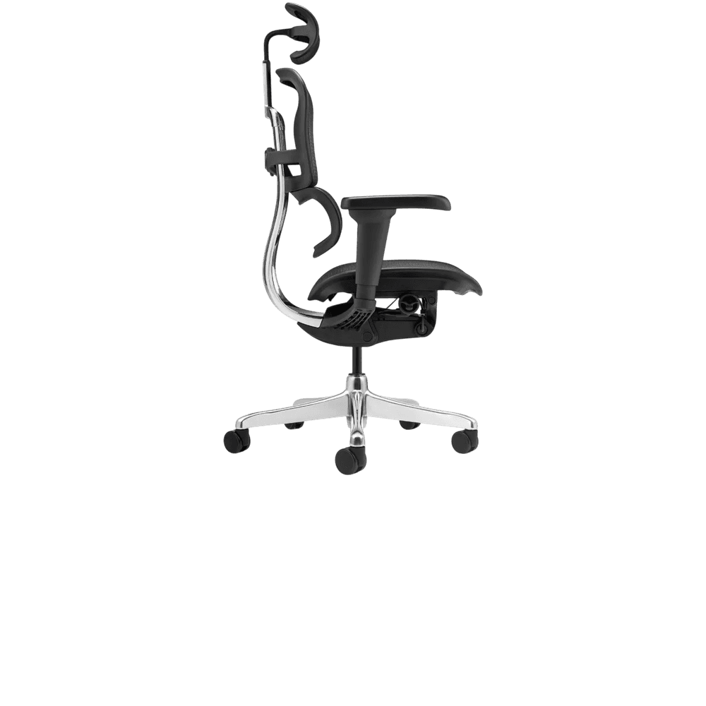 ERGOHUMAN — foto 3
