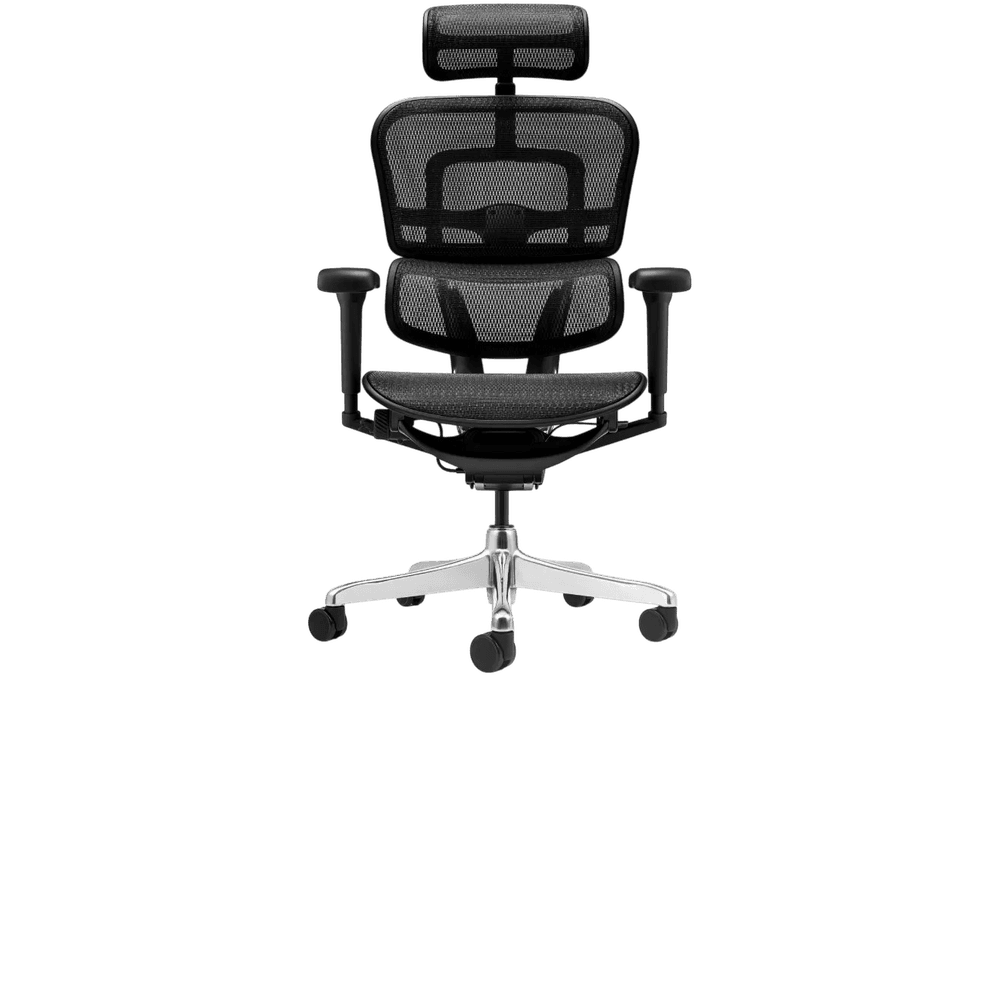 ERGOHUMAN