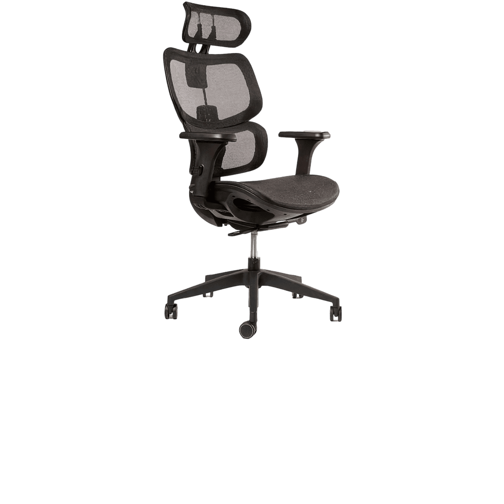 ERGOPLUS — foto 2