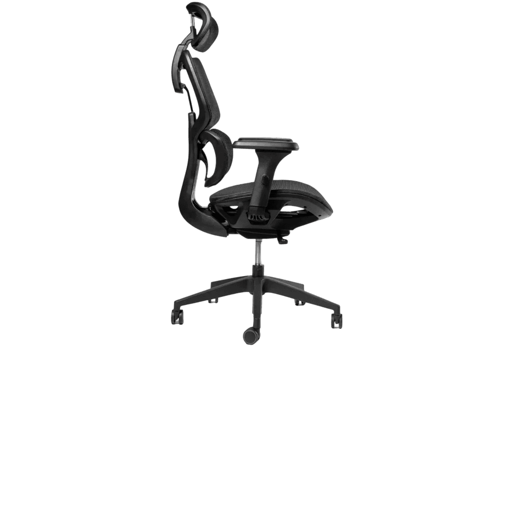 ERGOPLUS — foto 3