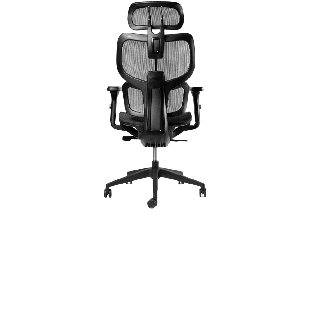 ERGOPLUS — foto 4
