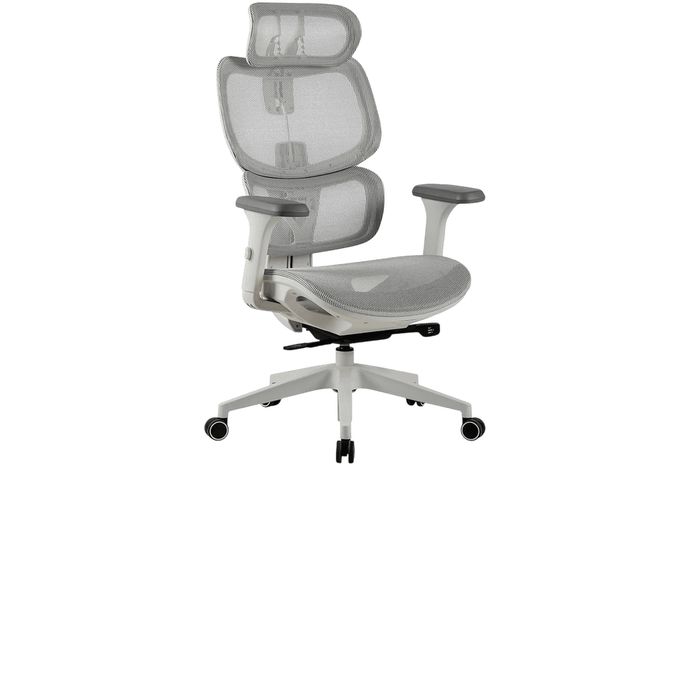 ERGOPLUS — foto 2