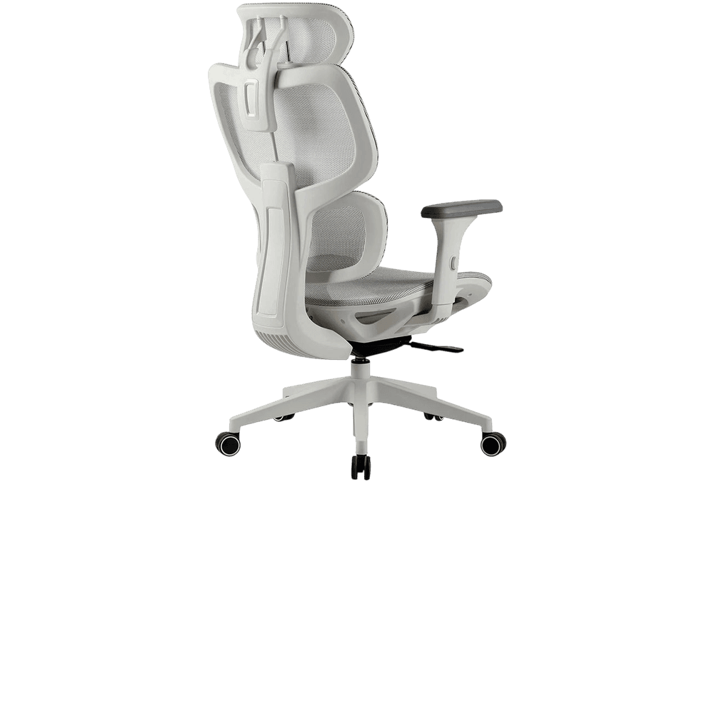 ERGOPLUS — foto 4