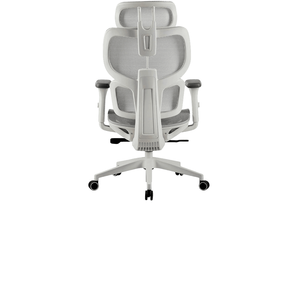 ERGOPLUS — foto 5