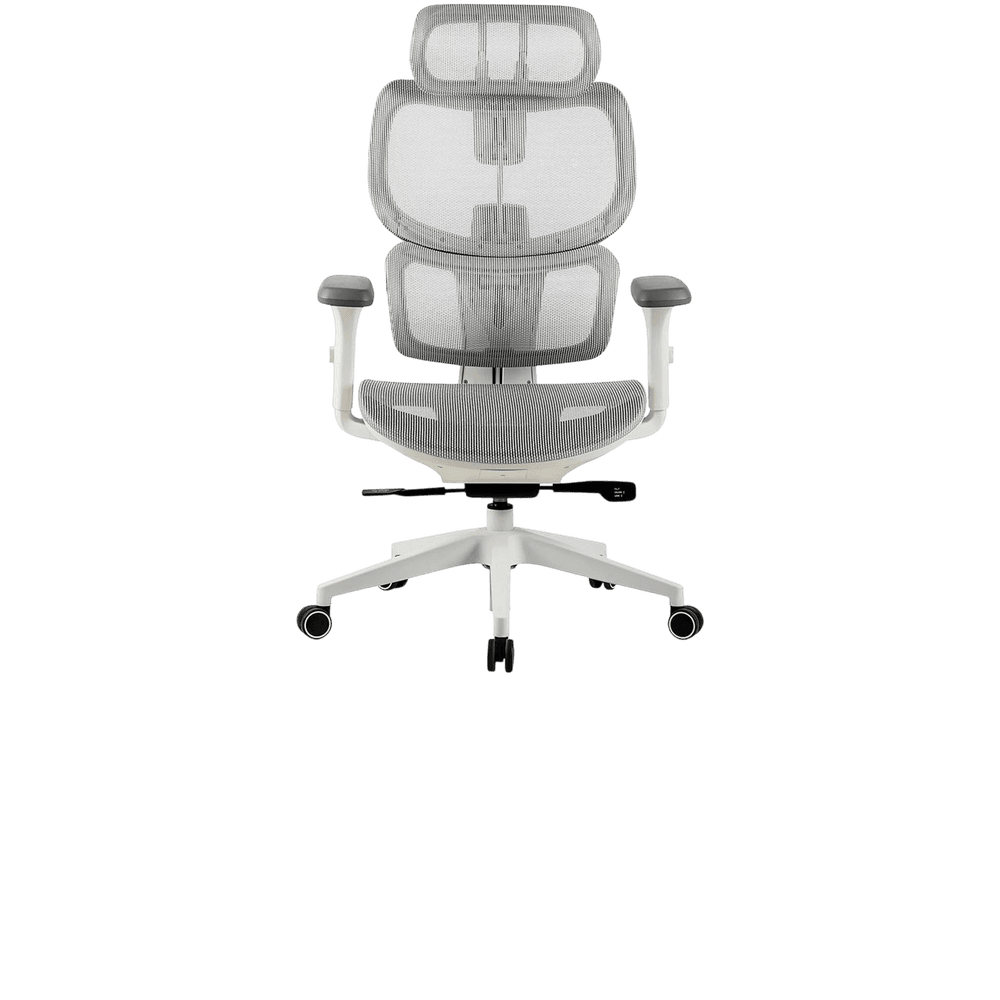 ERGOPLUS