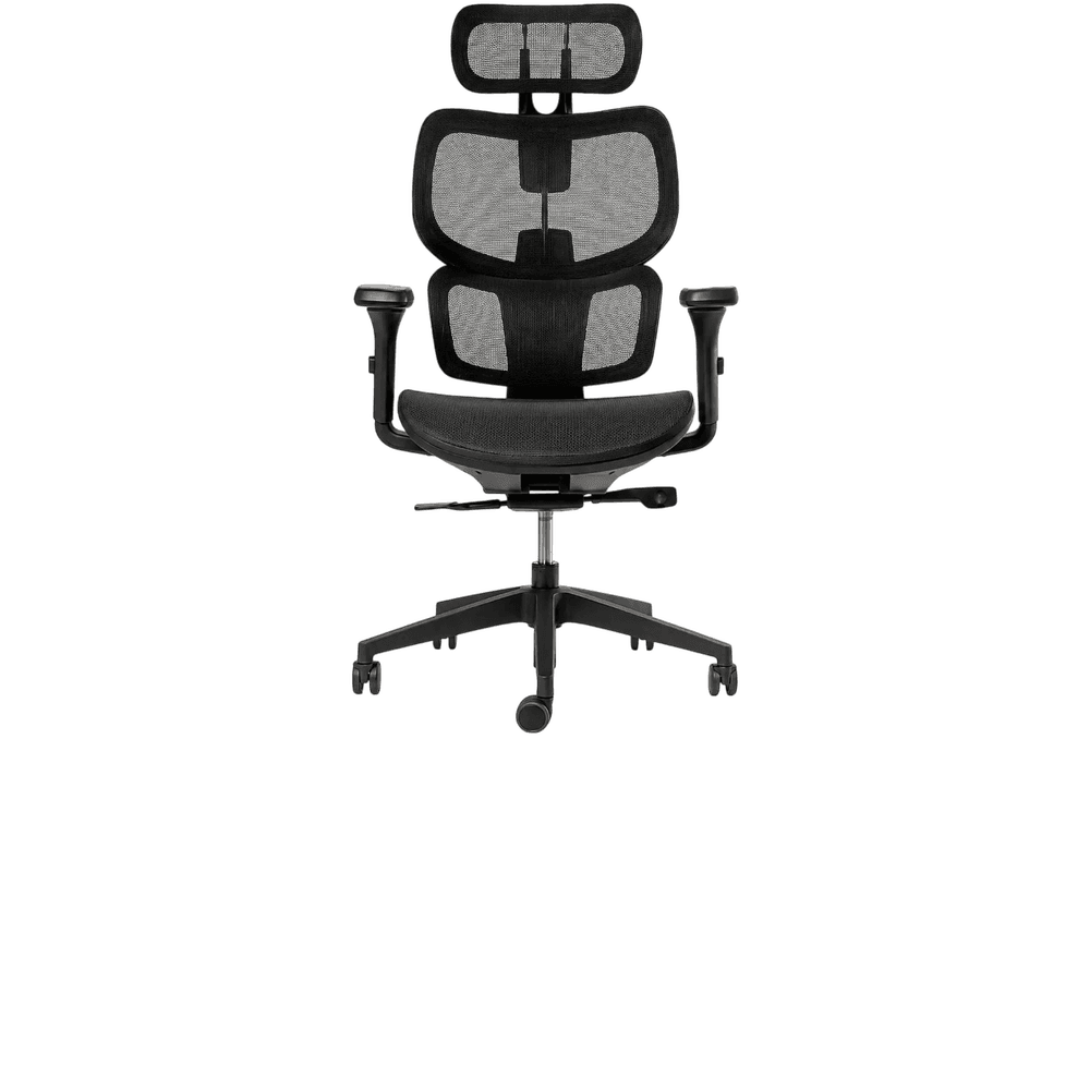 ERGOPLUS